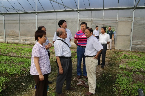 中国工程院院士汪懋华考察智能所庐江县农业物