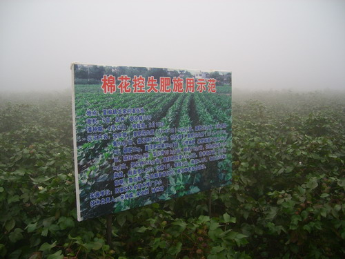 居巢区人口_晋升 特大城市 这次,我为合肥正名